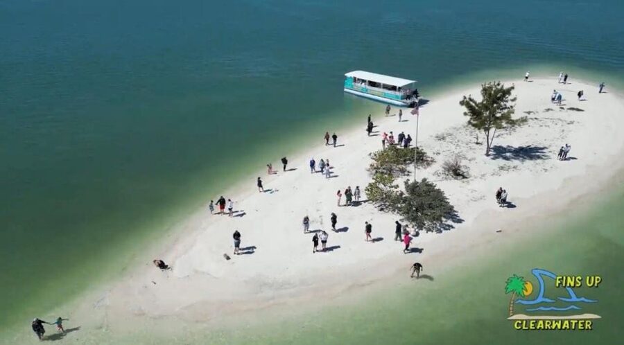 Clearwater Beach: Dolphin & Island Sandbar Cruise - One-Tree Island sandbar time: swimming perks, shell reality, and crowding
