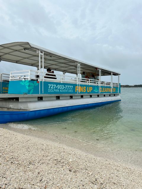 Clearwater Beach: Dolphin & Island Sandbar Cruise - What’s included for $28, and why it feels like more than a ticket