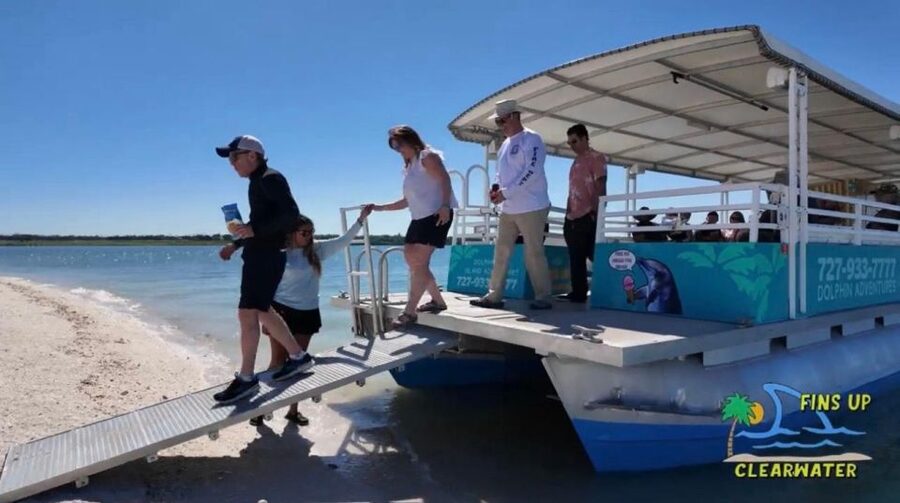 Clearwater Beach: Dolphin & Island Sandbar Cruise - BYOB and beach snack strategy that keeps the outing fun