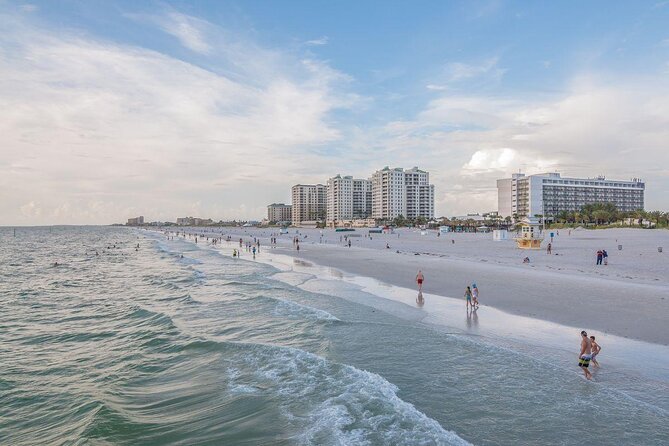 Clearwater Encounters with Dolphins Tour - Dolphin Search Done Right in Clearwater, Plus a Real Island Stop
