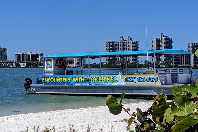 Clearwater Encounters with Dolphins Tour - From the Dock to the Gulf: What the 40-Foot Boat Experience Feels Like