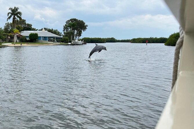 Cocoa Beach Dolphin and Wildlife Tour - Weather, timing, and practical tips that help you enjoy the ride