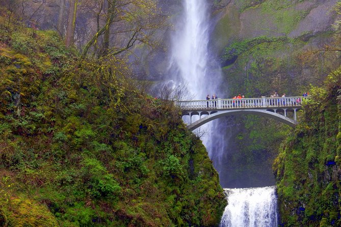 Columbia River Gorge Waterfalls Tour from Portland, OR - Latourell Falls: Basalt Columns and a Short Paved Look