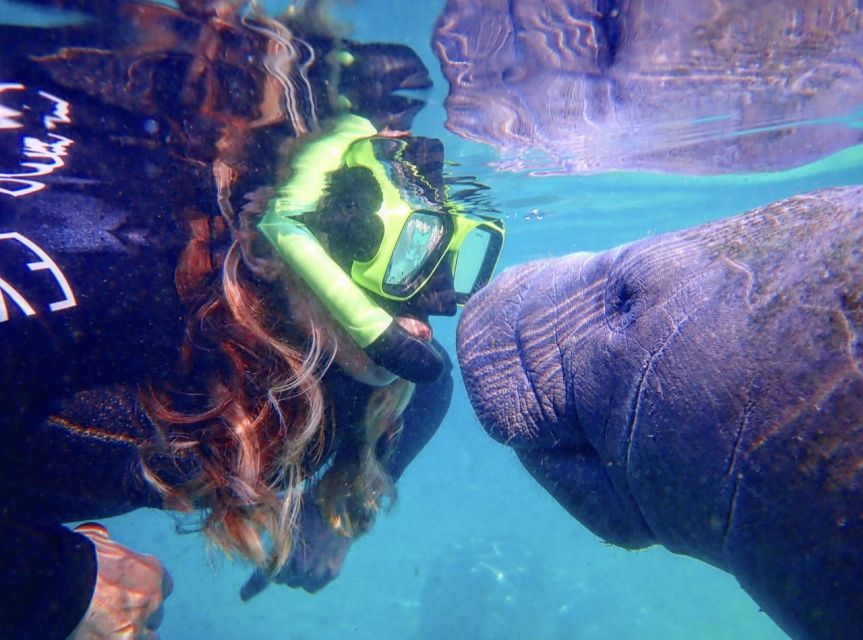 Crystal River: Manatee Swim Group Tour - Key takeaways before you go