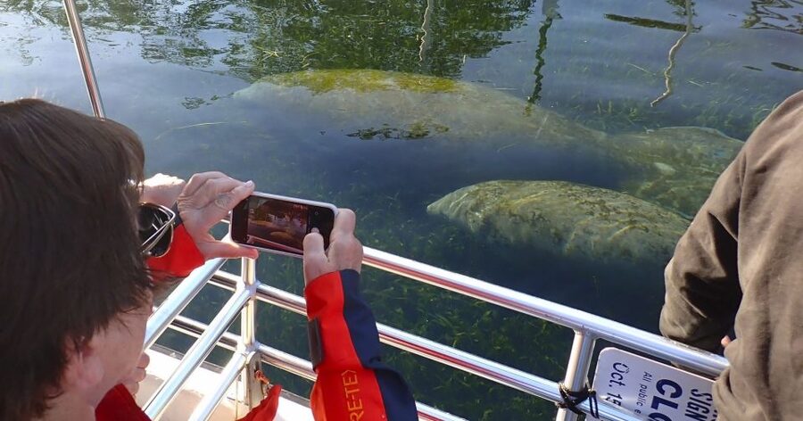 Crystal River: Manatee Swim Group Tour - Getting suited up and learning snorkeling basics without panic