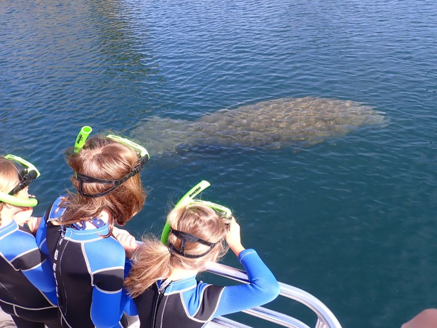 Crystal River: Manatee Swim Group Tour - In-water photos and the shop wrap-up: taking memories home without stress