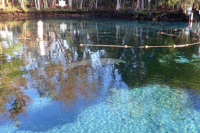 Crystal River Manatee Viewing Cruise - Explorida Check-In and the Shuttle to Pete’s Pier