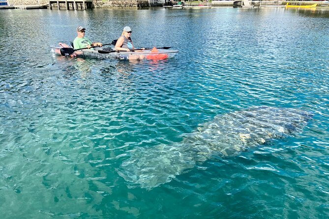 Crystal River Three Sisters Springs and Manatee Clear Kayak Tours - Underwater Viewing Tips That Make a Difference
