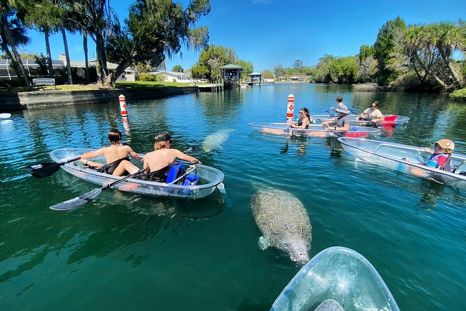 Crystal River Three Sisters Springs and Manatee Clear Kayak Tours - Swimming at Three Sisters Springs: The Best Reason to Go in Warm Season