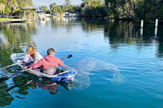 Crystal River Three Sisters Springs and Manatee Clear Kayak Tours - Picking the Right Tour Season: Three Sisters Swim Time vs Manatee Focus