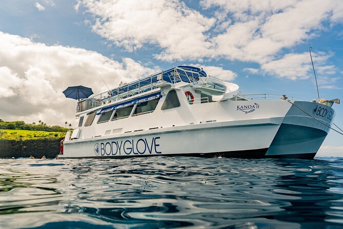 Deluxe Snorkel & Dolphin Watch Aboard a Luxury Catamaran from Kailua-Kona - Why this Deluxe Kona catamaran fits real life