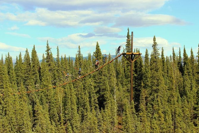 Denali Park Zipline Adventure - Why This Denali Zipline Feels Different Than a Quick Tourist Activity