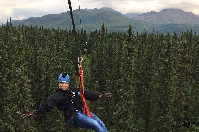 Denali Park Zipline Adventure - The Course: Six Suspension Bridges, Seven Ziplines, and a Tree-Top Climb