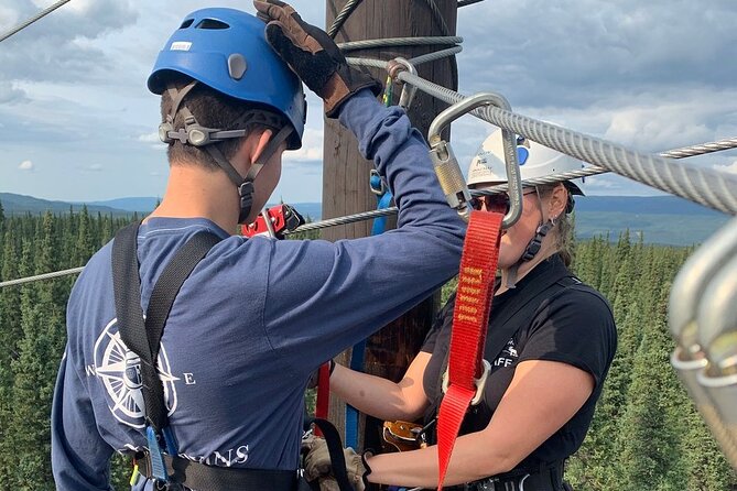 Denali Park Zipline Adventure - Who Should Book This Zipline Tour, and Who Should Skip It