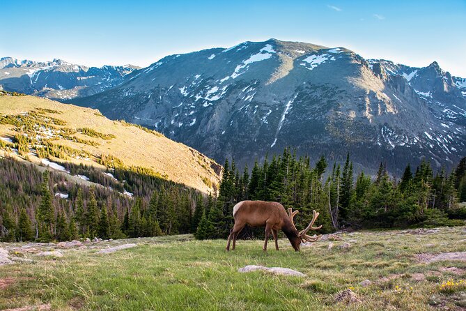 Discover Rocky Mountain National Park - Key highlights worth booking for