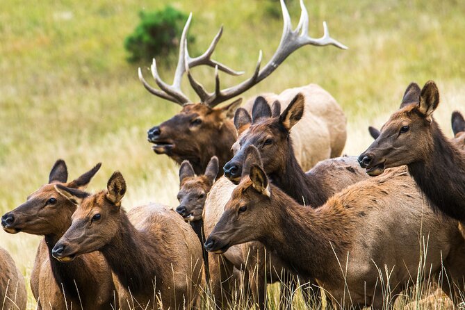 Discover Rocky Mountain National Park - Rocky Mountain National Park: how the sightseeing stops really work