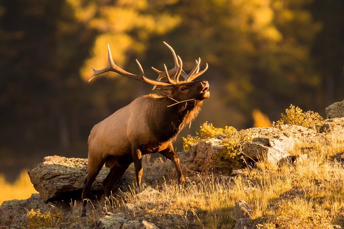 Discover Rocky Mountain National Park - Comfort details that make a long mountain day easier