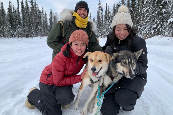 Dog Sledding and Mushing Experience in North Pole - Key Things That Make This Ride Worth Booking