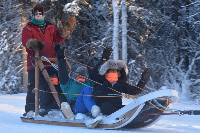Dog Sledding and Mushing Experience in North Pole - Why North Pole Dog Sledding Feels Like Real Alaska