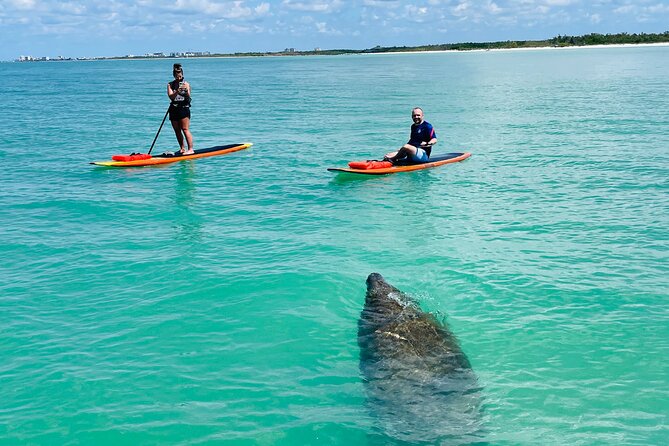 Dolphin and Manatee Adventure Tour of Fort Myers - Floating into Fort Myers wildlife, one easy stroke at a time