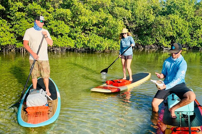 Dolphin and Manatee Adventure Tour of Fort Myers - Wildlife spotting that feels real, not staged