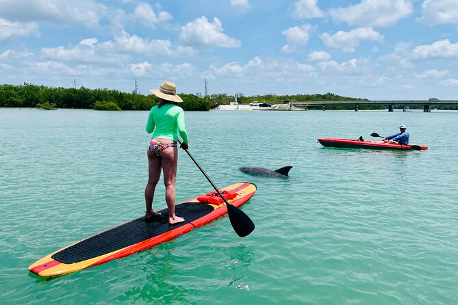Dolphin and Manatee Adventure Tour of Fort Myers - Fort Myers Beach stop for shells and coastal views