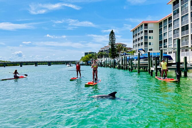 Dolphin and Manatee Adventure Tour of Fort Myers - Guide style: calm coaching, group management, and safety on a small craft