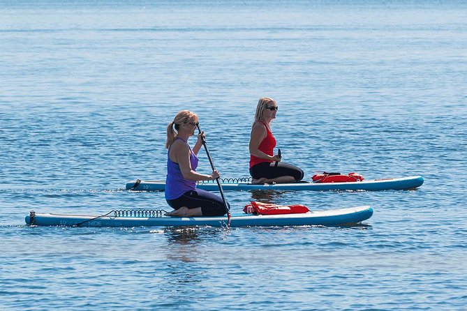 Dolphin and Manatee Stand Up Paddleboard Tour in Daytona Beach - Why SUP in Daytona Is a Smarter Wildlife Choice Than a Speed Boat