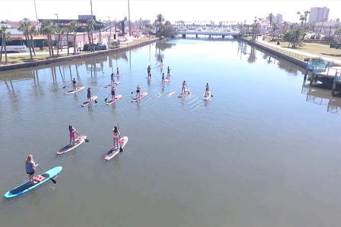 Dolphin and Manatee Stand Up Paddleboard Tour in Daytona Beach - Guide Style and Group Size: The Difference Between Fun and Frustration