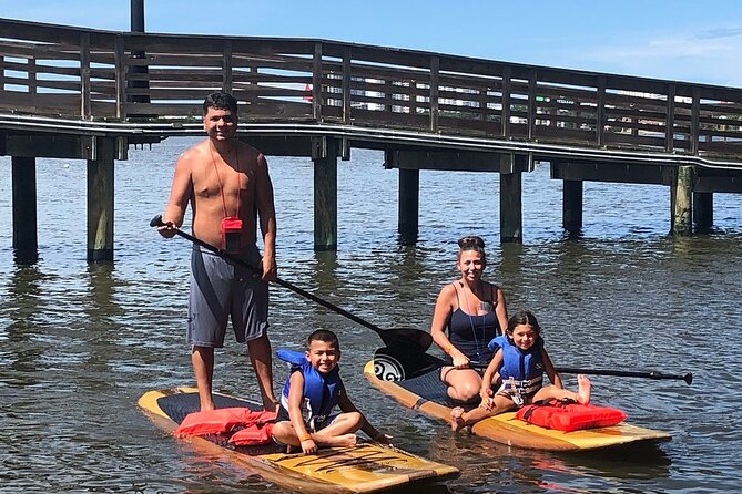 Dolphin and Manatee Stand Up Paddleboard Tour in Daytona Beach - The Calm-Bay Lesson: Where First Timers Actually Get Comfortable