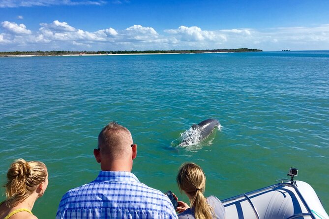 Dolphin and Shelling Cruise for up to 12 people - Swimming in warm waters: fun factor, plus a few sanity checks