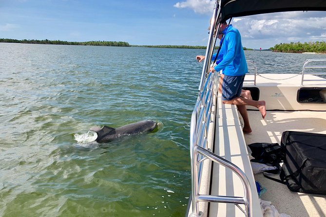 Dolphin and Shelling Cruise for up to 12 people - The guides: what you’ll actually get from the commentary