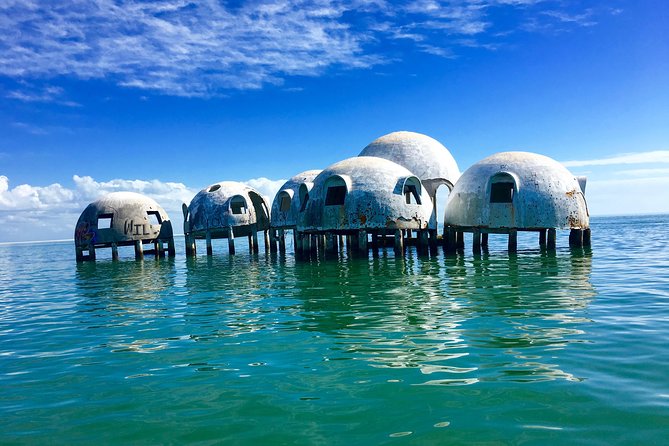Dolphin and Shelling Cruise for up to 12 people - What the price buys you, and how to judge the value