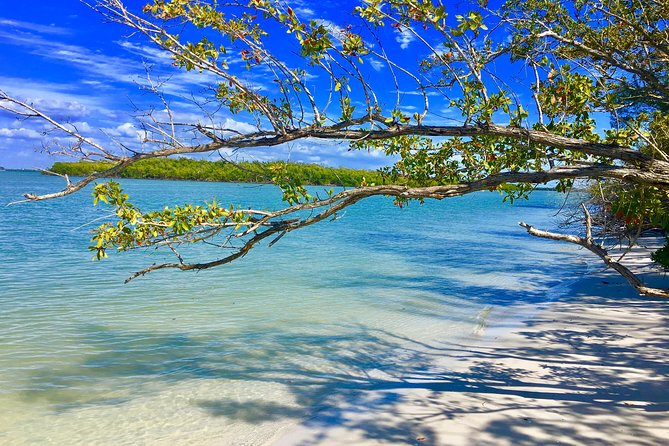 Dolphin and Shelling Cruise for up to 12 people - What to bring for comfort on a 2.5 hour boat and beach day