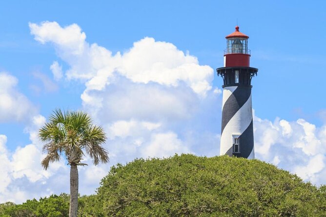 Dolphin and Wildlife Adventure of St. Augustine - Key things that make this cruise worth your money