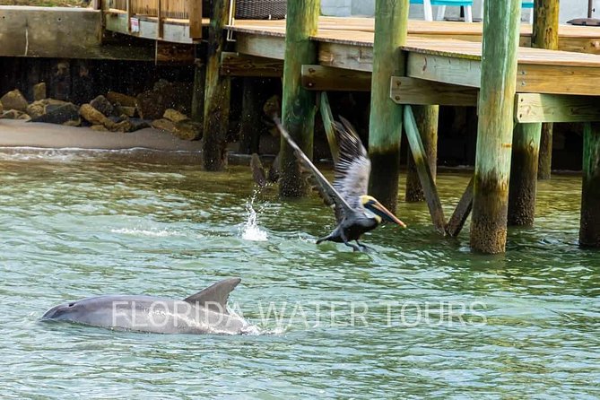 Dolphin and Wildlife Adventure of St. Augustine - The boat, the bar, and the small comfort details