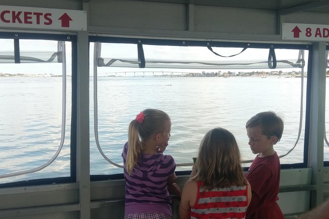 Dolphin and Wildlife Adventure of St. Augustine - Price and value: why $29 is a smart deal