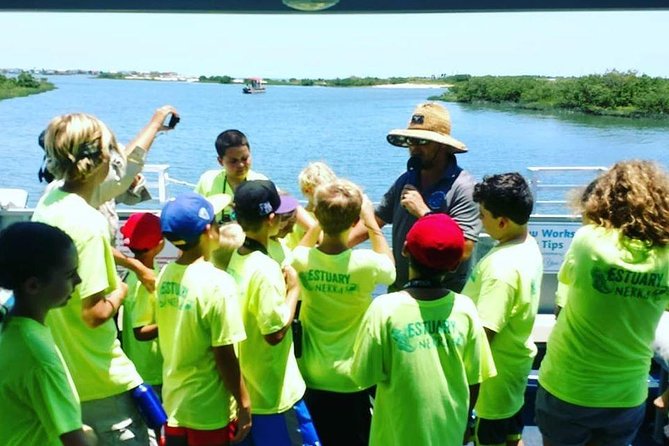 Dolphin and Wildlife Adventure of St. Augustine - Wildlife spotting along the Intracoastal Waterway