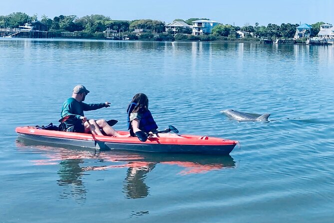 Dolphin, Manatee and SeaTurtle SUP Adventure Tour of St Augustine - Key highlights to know before you go