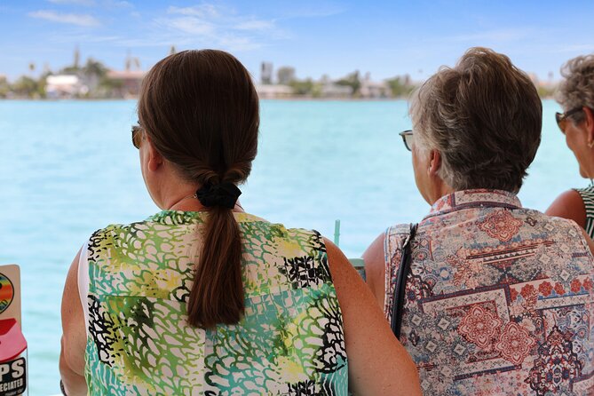 Dolphin Watching/Eco Cruise, John's Pass, Madeira Bch, FL - A Smart Way to Fit Madeira Beach Into Your Day
