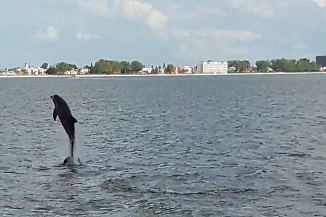 Dolphin Watching/Eco Cruise, John's Pass, Madeira Bch, FL - What You See on the Water Between Johns Pass and Madeira Beach