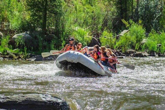 Durango Half Day Rafting Trip - Lower Animas River - Timing: morning vs afternoon, and how to plan your Durango day
