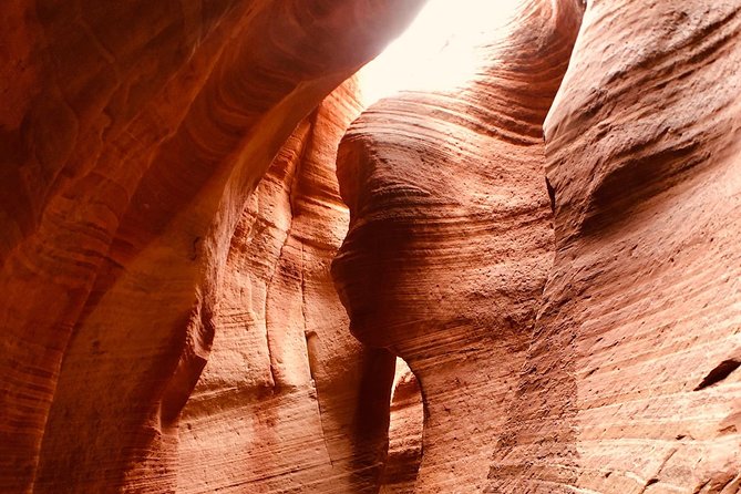 East Zion 4 Hour Slot Canyon Canyoneering UTV Tour - Ladder Canyon rappelling: what six to seven descents means in practice