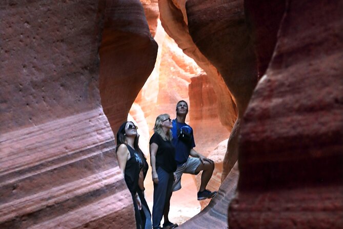 East Zion Crimson Canyon Hike & UTV Adventure - What you learn inside: canyon formation plus ancient rock writing