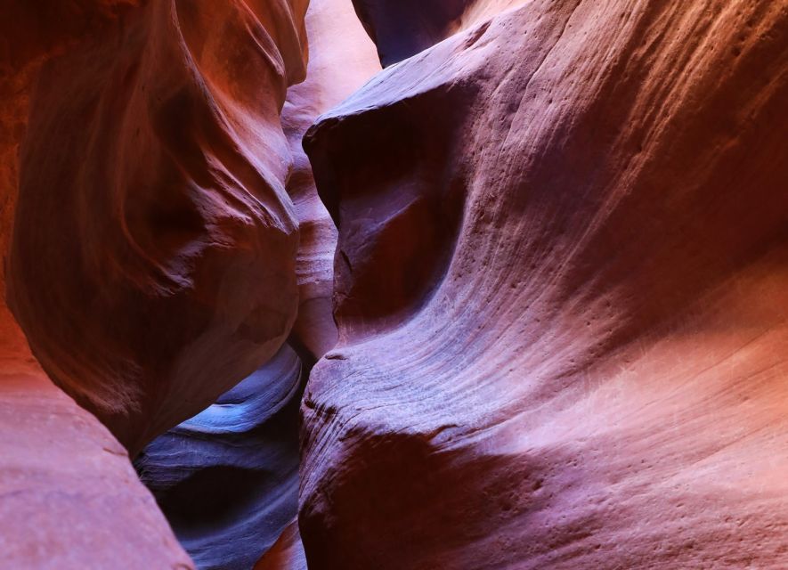 East Zion: Crimson Slot Canyon Exploration and UTV Tour - What Happens When There’s Standing Water