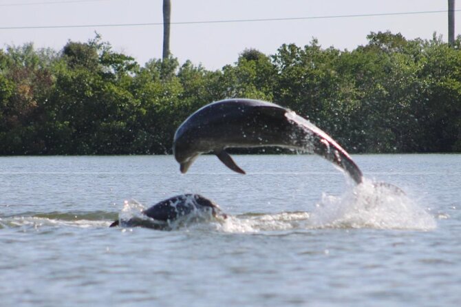 Easy Ride Pedal Kayak Tour Marco Island & Naples (Pedal or Paddle - Pedal or paddle: choose the effort level that matches your body and your mood