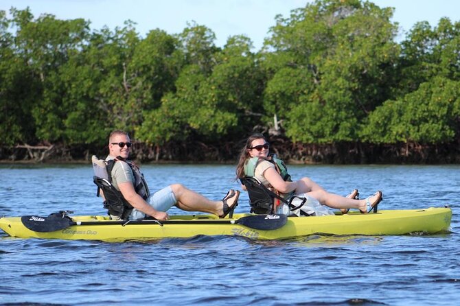 Easy Ride Pedal Kayak Tour Marco Island & Naples (Pedal or Paddle - Wildlife photos and end-of-tour perks, including AirDrop and keepsakes
