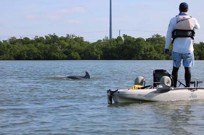 Easy Ride Pedal Kayak Tour Marco Island & Naples (Pedal or Paddle - What to wear and bring for Naples sun and getting a little wet
