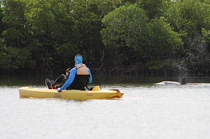 Easy Ride Pedal Kayak Tour Marco Island & Naples (Pedal or Paddle - Your exact plan: 10:00 am from Capri Paddlecraft Park to Marco Island