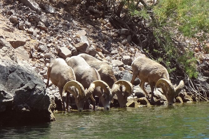 Emerald Cave & Black Canyon Kayak Tour with Vegas Pickup - What you should wear, plus the “you are going to get wet” checklist